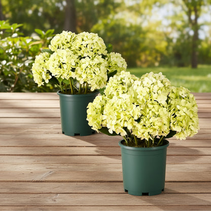 Artificial Hydrangea Flowers