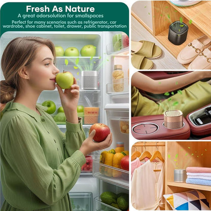 Stainless Steel Fridge Odor Eliminator
