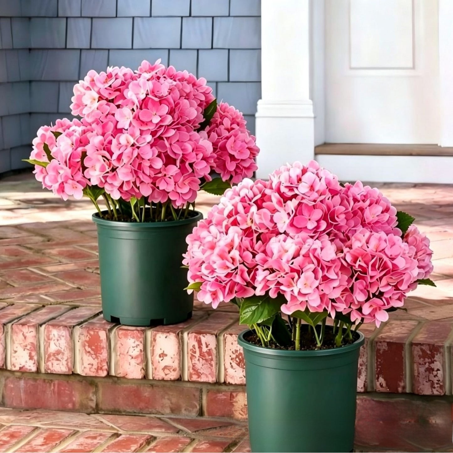 Artificial Hydrangea Flowers