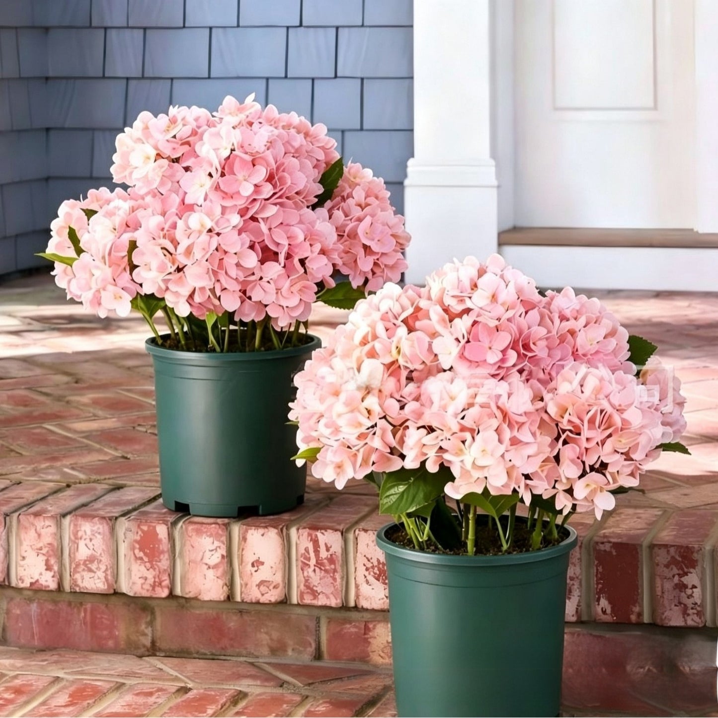 Artificial Hydrangea Flowers