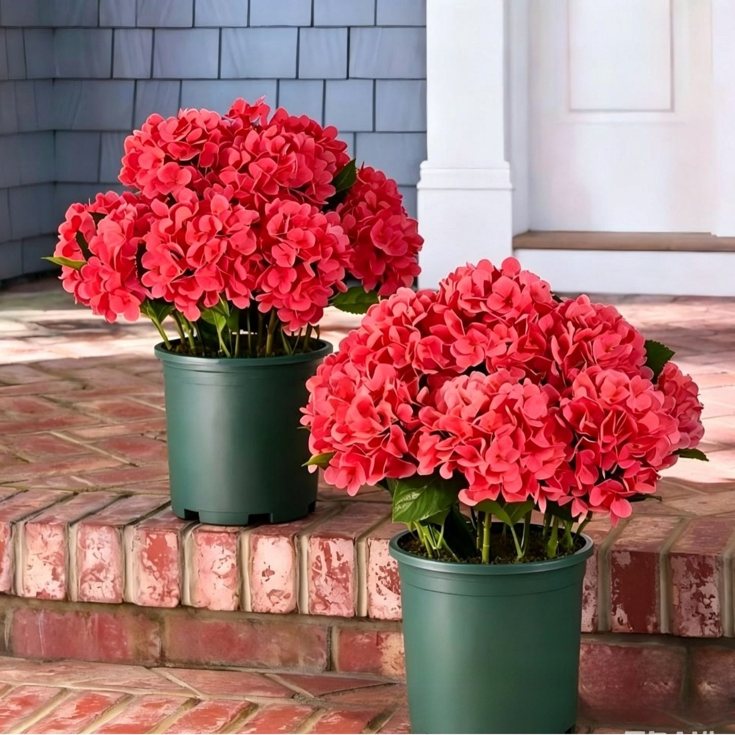 Artificial Hydrangea Flowers